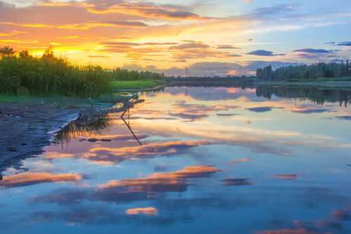 光影定格，見證榮耀——伊比沙杯廊坊首屆攝影大展獲獎公示暨專業(yè)攝像服務回顧