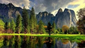 繁星流動——捕捉每個閃耀瞬間的專業(yè)攝像服務